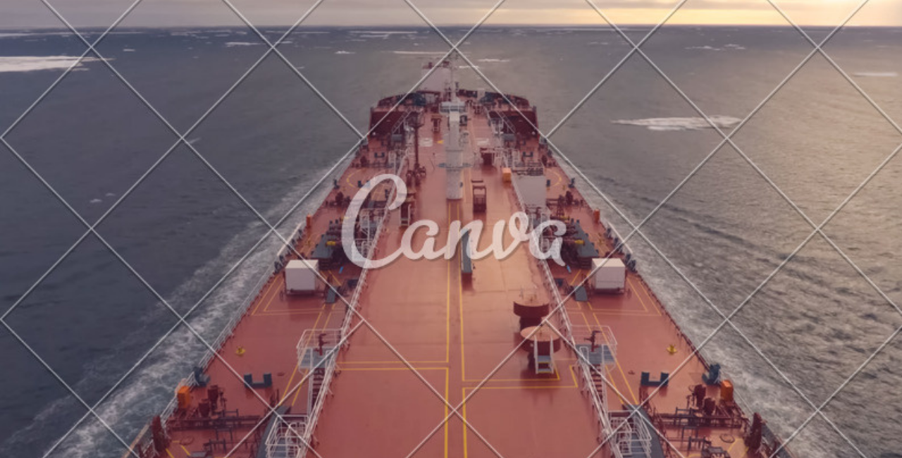 Denizyolu Taşımacılı Türleri?